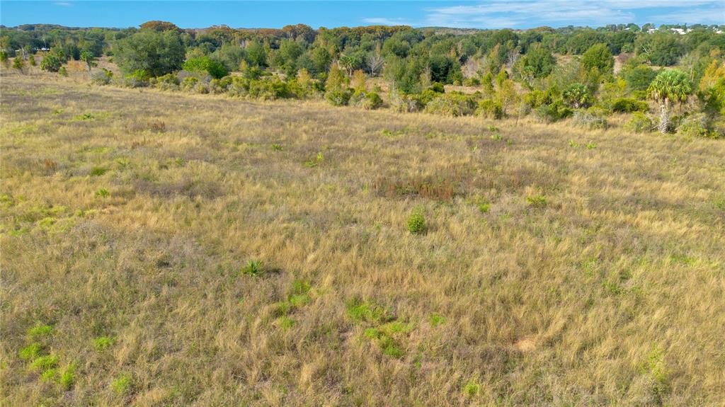 An aerial view of a large, grassy field bordered by a line of trees — 28432 S EICHELBERGER ROAD, TAVARES, FL