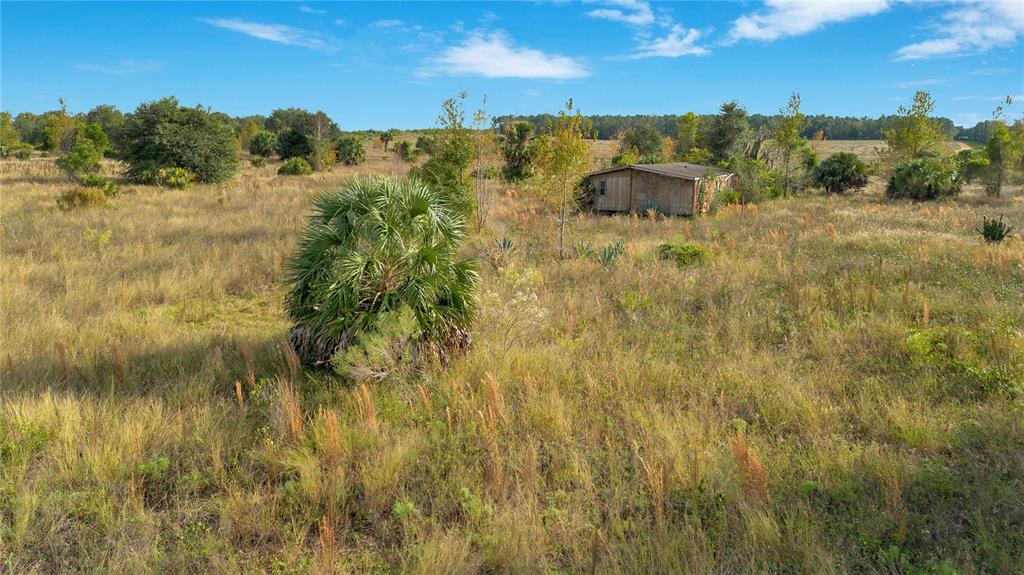 A weathered mobile home sits in a large, grassy field with scattered trees and shrubs — 28432 S EICHELBERGER ROAD, TAVARES, FL