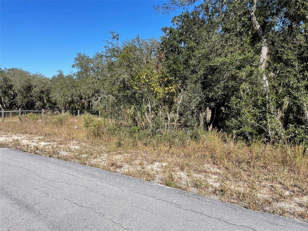 A paved road borders a vacant, wooded lot with dry grass and scattered trees — LOTS 444, 445 SW SHOREWOOD DRIVE, DUNNELLON, FL