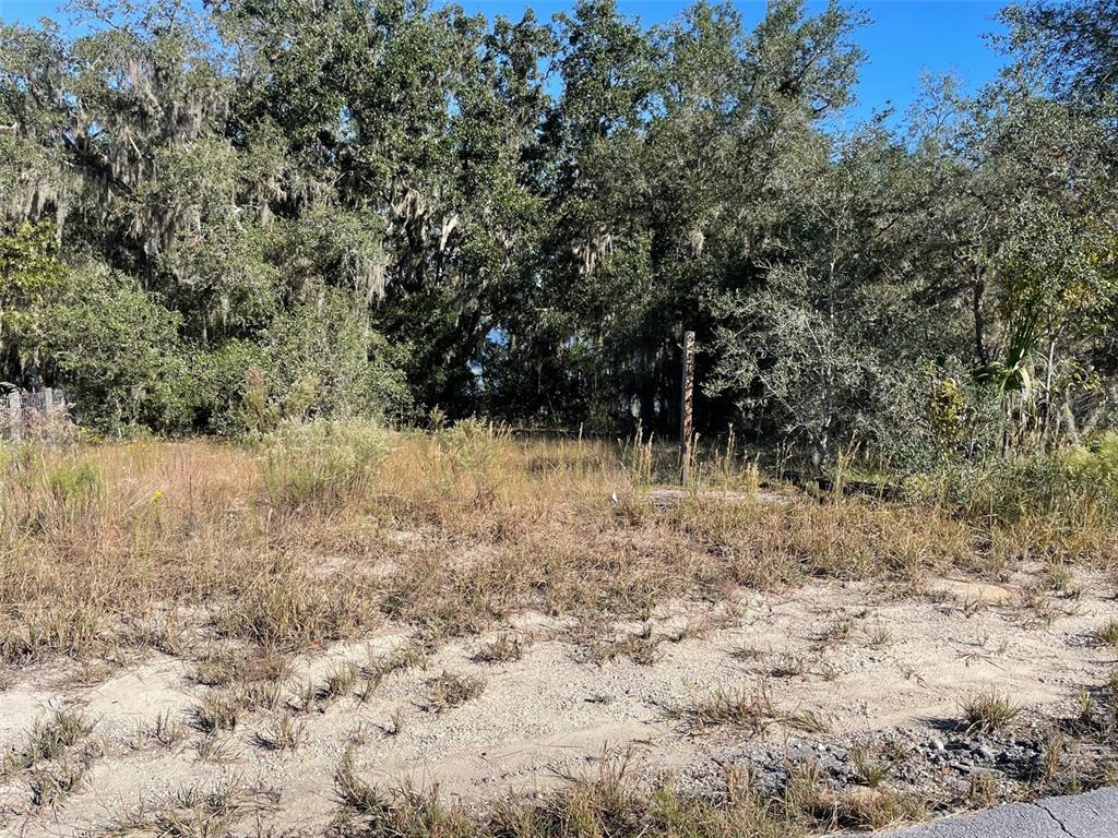 A vacant, sandy lot with tall grass is bordered by mature trees with Spanish moss — LOTS 444, 445 SW SHOREWOOD DRIVE, DUNNELLON, FL