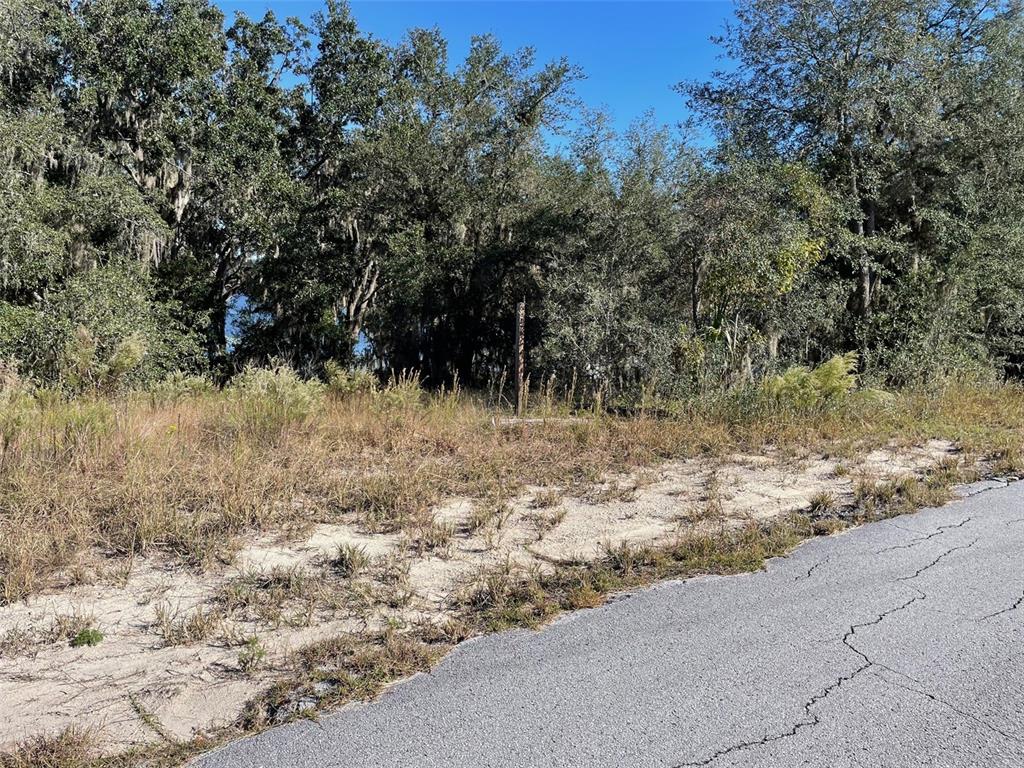 A vacant, grassy, and sandy lot sits next to an asphalt road with wooded trees behind — LOTS 444, 445 SW SHOREWOOD DRIVE, DUNNELLON, FL