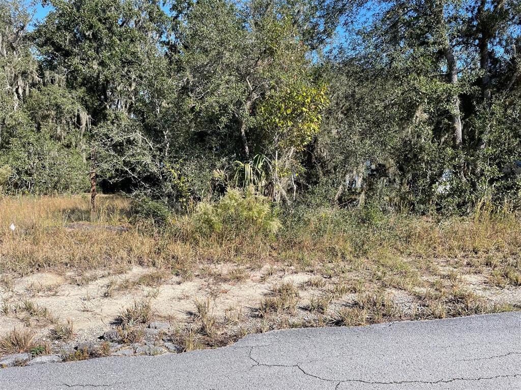 A vacant, wooded lot with tall grass and sandy soil borders an asphalt road — LOTS 444, 445 SW SHOREWOOD DRIVE, DUNNELLON, FL