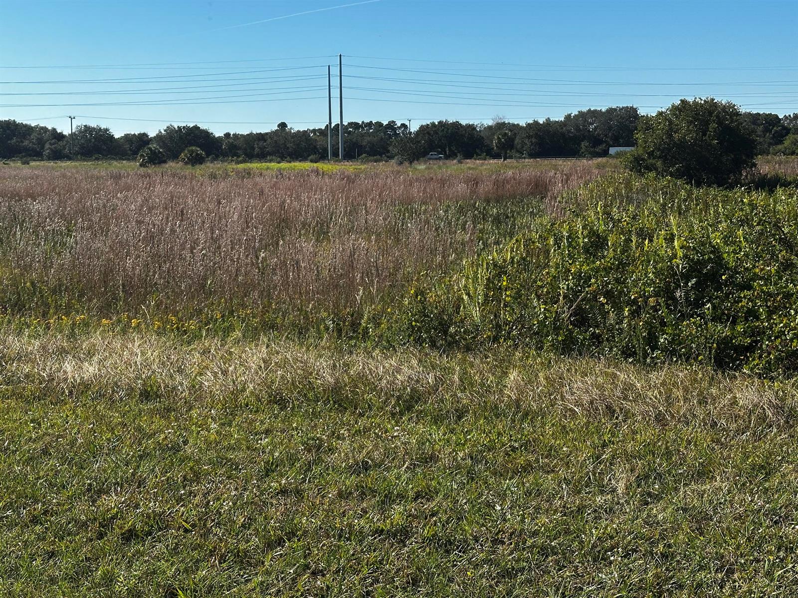 A grassy field with tall brush and trees under a clear blue sky — 6674 SE 33rd Terrace, Okeechobee FL 34974, OKEECHOBEE, FL