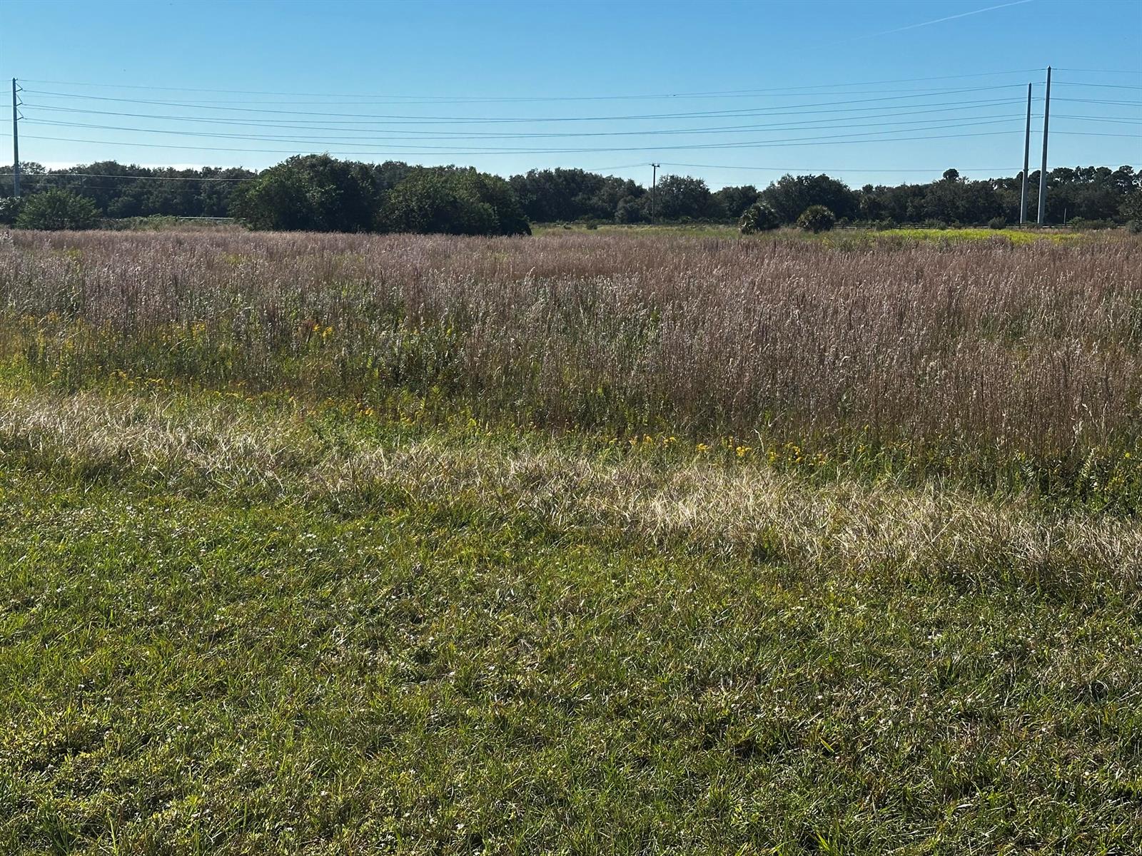 A wide, grassy field stretches toward a distant tree line under a clear blue sky — 6674 SE 33rd Terrace, Okeechobee FL 34974, OKEECHOBEE, FL