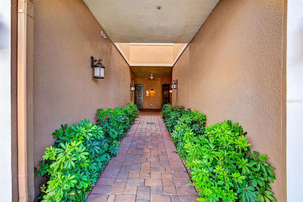 A paved walkway leads between two stucco walls lined with green shrubs toward two doors — 7228 HAMILTON ROAD UNIT 7228, BRADENTON, FL