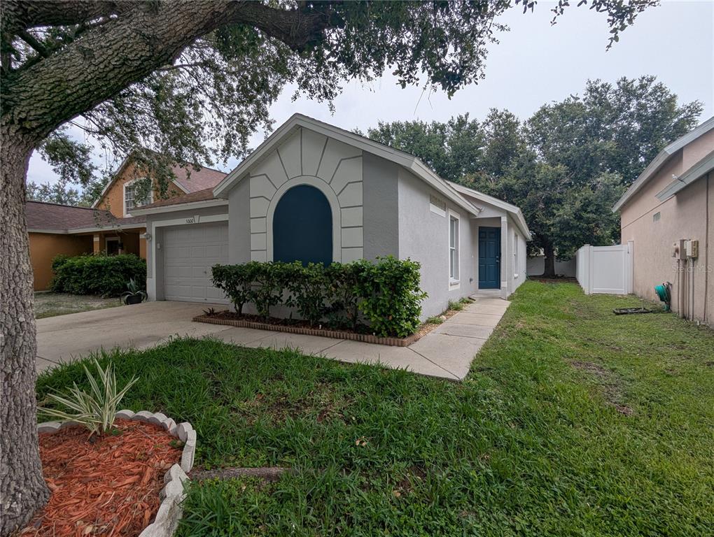 A single-story house with a gray stucco exterior, a garage, and a front lawn — 5000 ANCLOTE RIVER STREET, WESLEY CHAPEL, FL