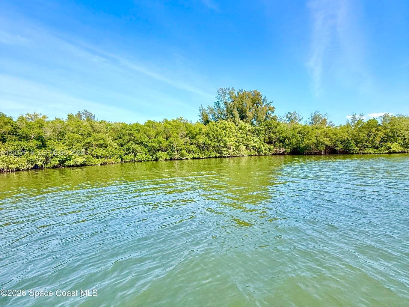 A view of a calm body of water bordered by a dense line of trees — Grant Island, Grant Valkaria FL 32949, GRANT VALKARIA, FL