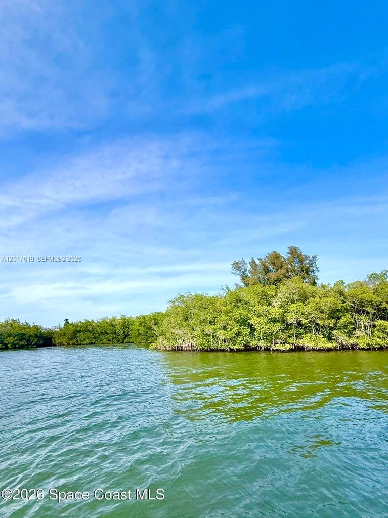 A view of a calm body of water bordered by dense green mangroves under a blue sky — Grant Island, Grant Valkaria FL 32949, GRANT VALKARIA, FL