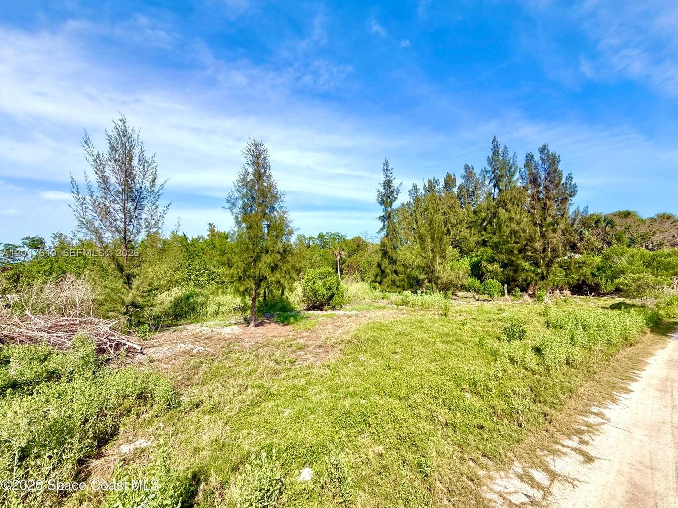 A dirt path leads toward a grassy, undeveloped lot with scattered trees and shrubs — Grant Island, Grant Valkaria FL 32949, GRANT VALKARIA, FL