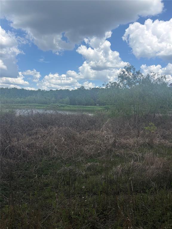 A view of a grassy, overgrown field leading to a lake under a cloudy sky — DEEPWELL DRIVE, BROOKSVILLE, FL