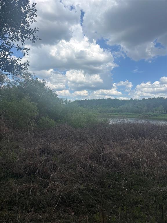 A view of a lake bordered by dense, overgrown brush and trees under a cloudy sky — DEEPWELL DRIVE, BROOKSVILLE, FL