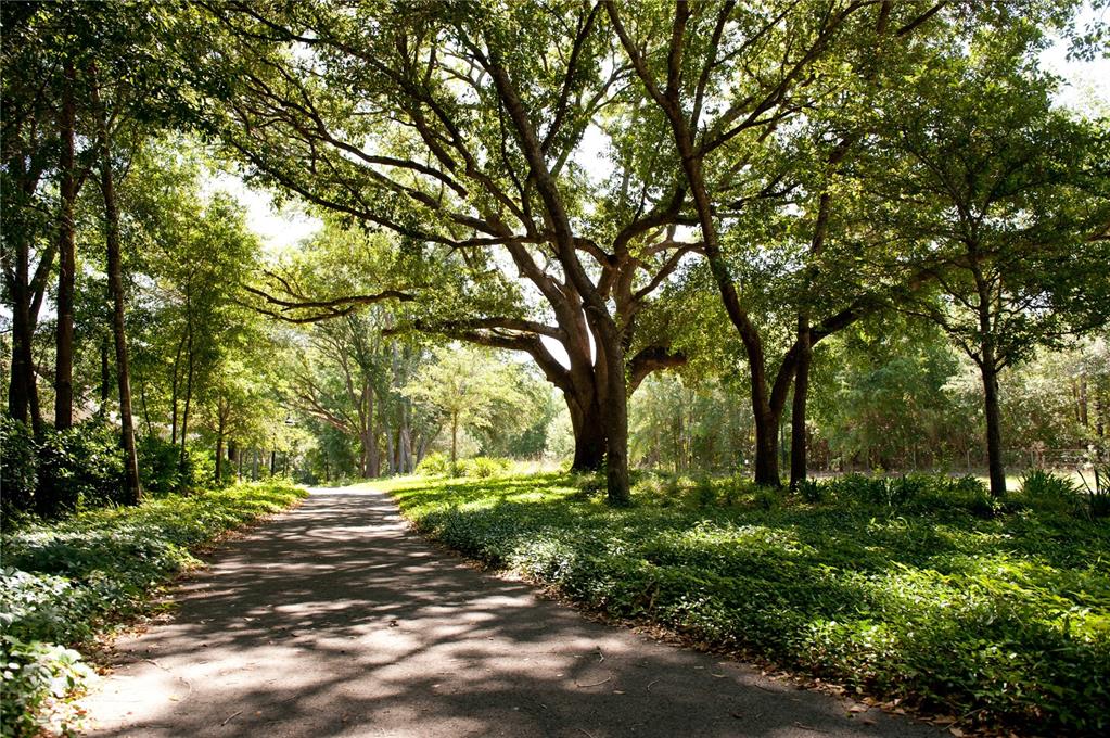 A paved path winds through a wooded area with large, mature trees and lush greenery — 13660 SW 8TH AVENUE, NEWBERRY, FL