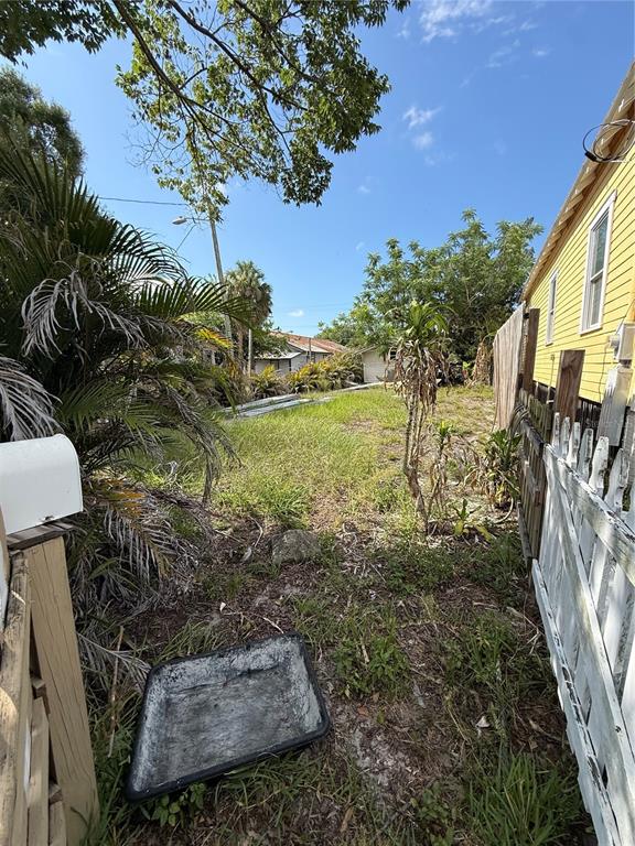 A grassy, narrow lot sits between a yellow house and dense tropical vegetation — 2323 E 12TH AVENUE, TAMPA, FL