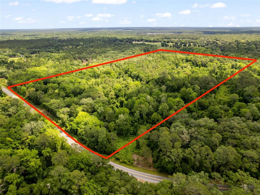 An aerial view shows a large, rectangular plot of forested land outlined in red — 0 SE 182ND AVENUE SE, OCKLAWAHA, FL
