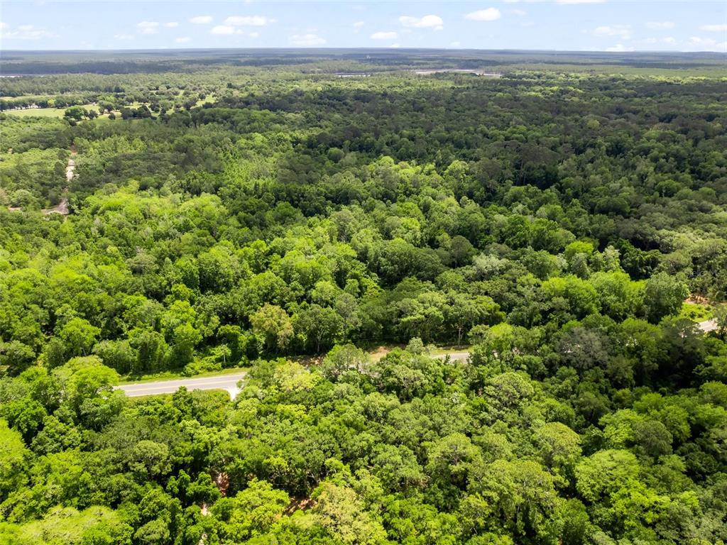 An aerial view shows a dense forest landscape bisected by a paved road — 0 SE 182ND AVENUE SE, OCKLAWAHA, FL