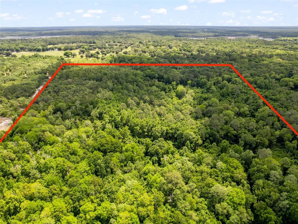 An aerial view shows a dense, wooded plot of land outlined in red — 0 SE 182ND AVENUE SE, OCKLAWAHA, FL