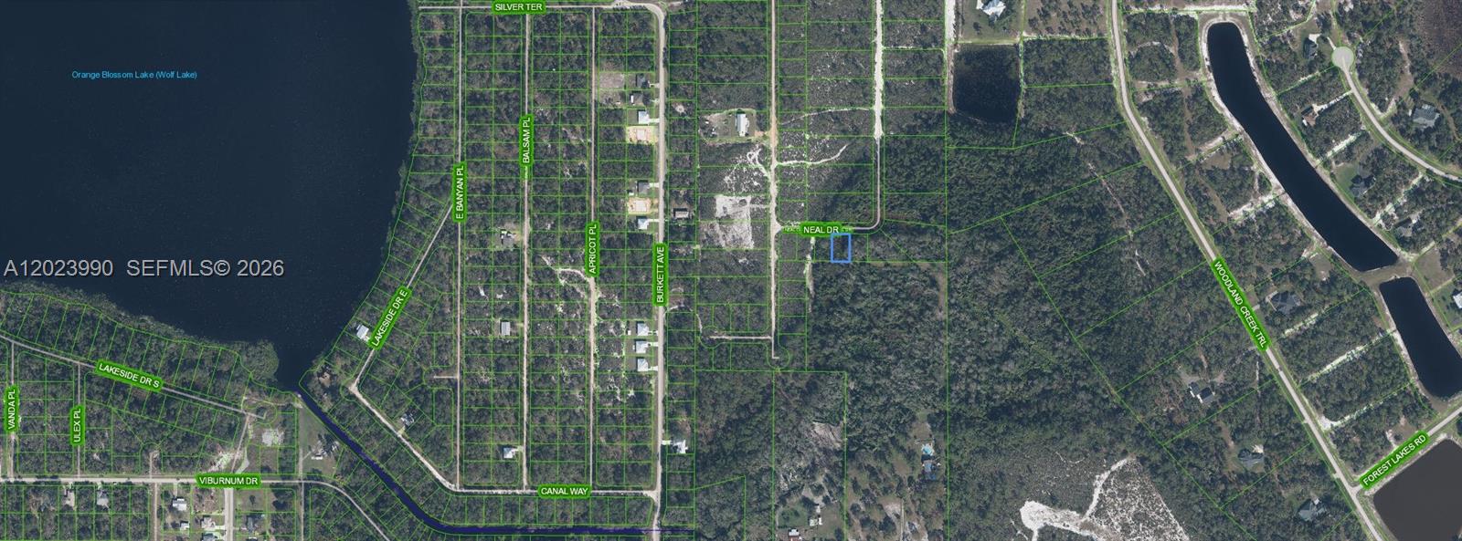 This is an aerial map showing a residential lot highlighted in blue on Neal Drive — 817 Neal, Sebring FL 33875, SEBRING, FL