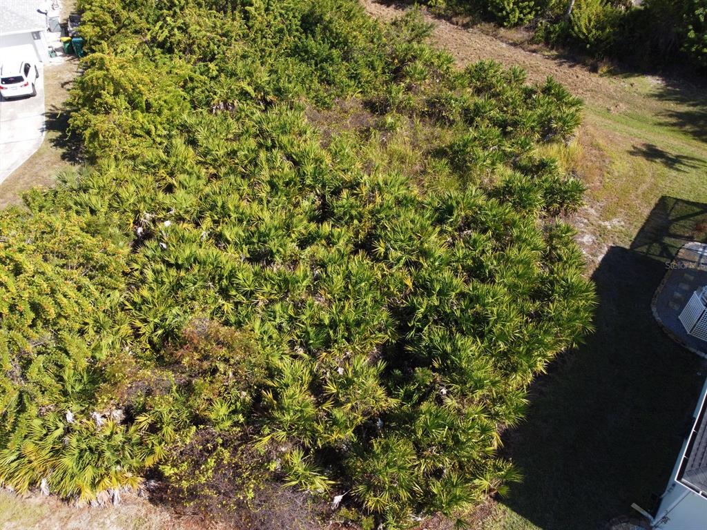 An aerial view shows a densely vegetated, undeveloped residential lot between two existing houses — 330 BAYTREE DRIVE, ROTONDA WEST, FL