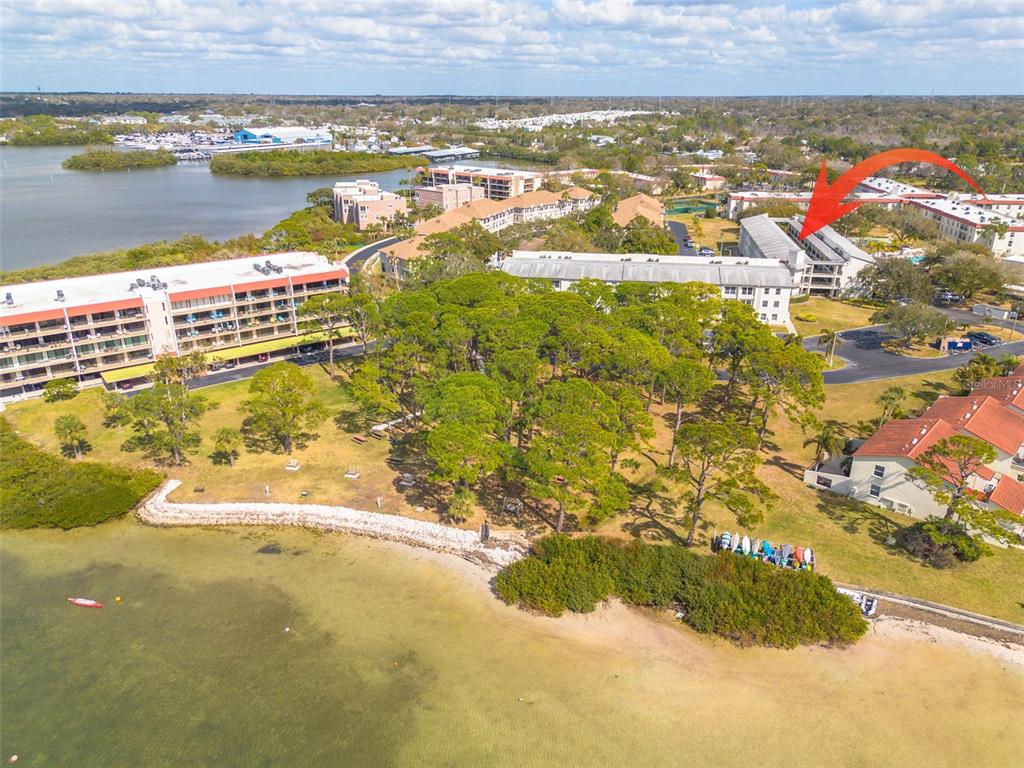 An aerial view shows waterfront apartment buildings surrounded by trees and a sandy beach — 2700 BAYSHORE BOULEVARD UNIT 5302, DUNEDIN, FL