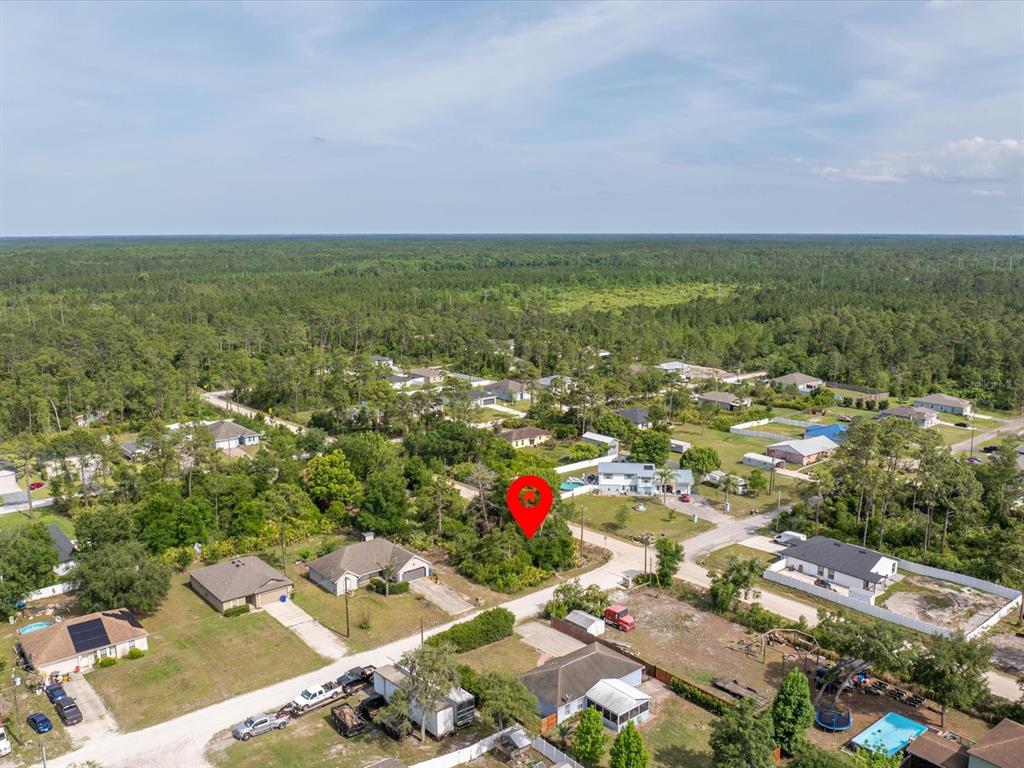 An aerial view shows a vacant, wooded residential lot marked with a red pin — 1001 10TH AVENUE, DELAND, FL