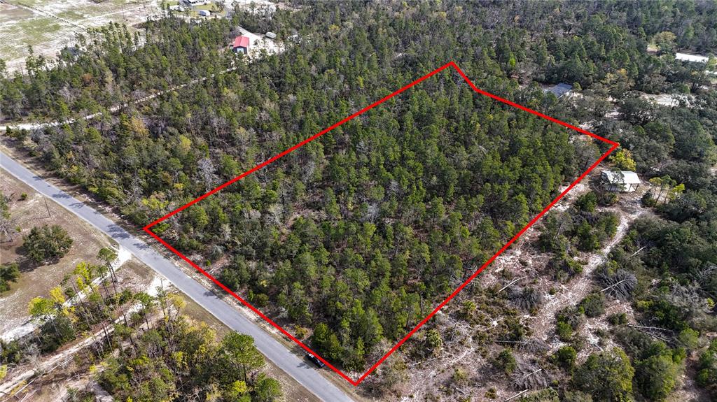An aerial view shows a rectangular plot of wooded land outlined in red beside a road — STRICKLAND LAND DRIVE, PERRY, FL