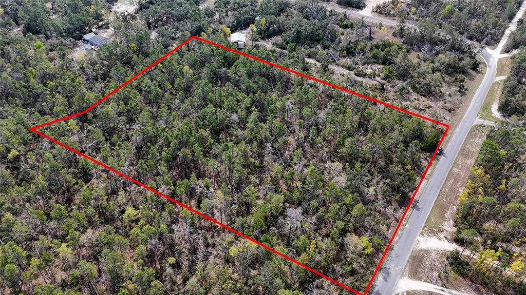 An aerial view shows a rectangular, tree-covered lot outlined in red next to a road — STRICKLAND LAND DRIVE, PERRY, FL