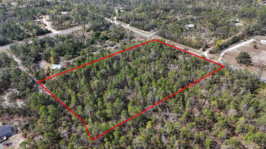 An aerial view shows a rectangular, wooded plot of land outlined in red — STRICKLAND LAND DRIVE, PERRY, FL