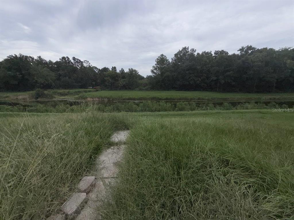 A grassy field leads to a small pond bordered by a dense line of trees — 10600 W DEEP CREEK BOULEVARD, HASTINGS, FL