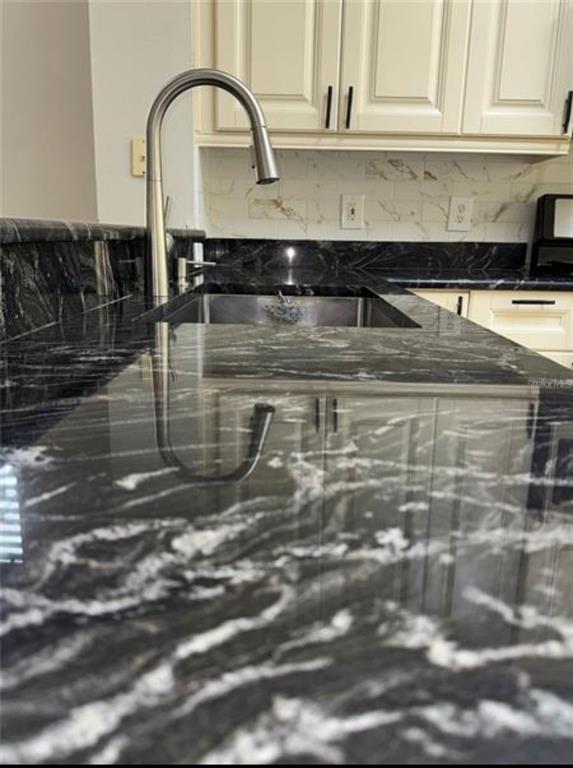 A kitchen sink with a modern faucet is set into a dark, veined granite countertop — 30239 EMMETTS COURT, WESLEY CHAPEL, FL