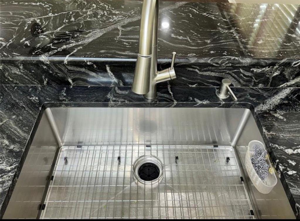 A stainless steel kitchen sink with a wire rack and faucet set in black granite — 30239 EMMETTS COURT, WESLEY CHAPEL, FL