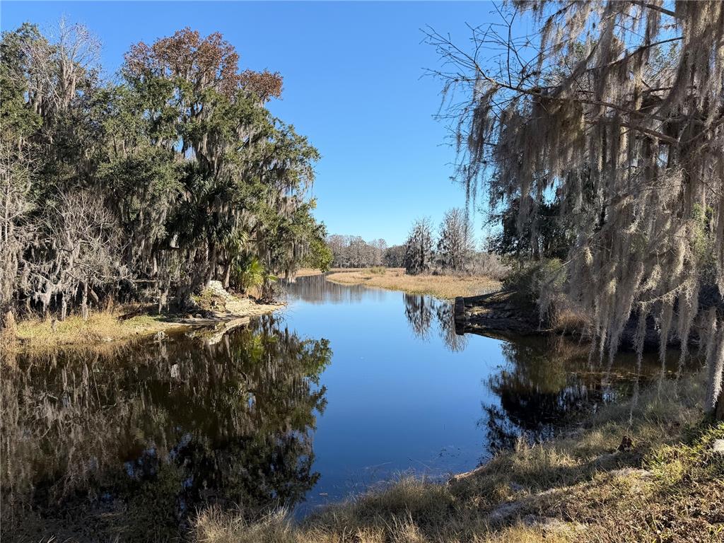 1340 CYPRESS COVE COURT