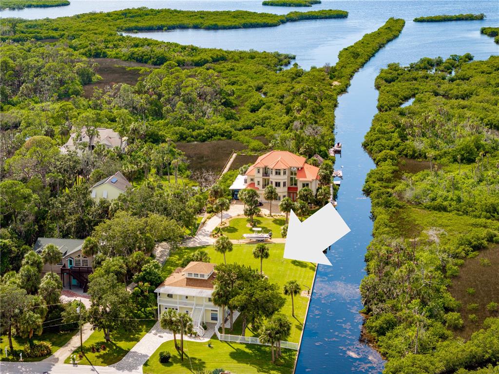 An aerial view shows two houses situated along a narrow canal surrounded by dense vegetation — 8727 BETTY STREET, PORT RICHEY, FL