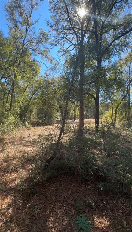 A wooded lot with tall trees and a dirt clearing under a bright sunny sky — TBD SW 22ND PLACE, OCALA, FL