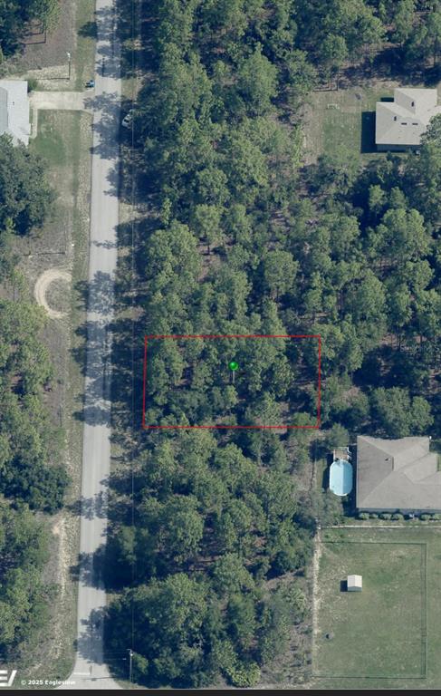 This aerial view shows a rectangular wooded lot outlined in red next to a road — 2641 W BRAGANZA STREET, DUNNELLON, FL