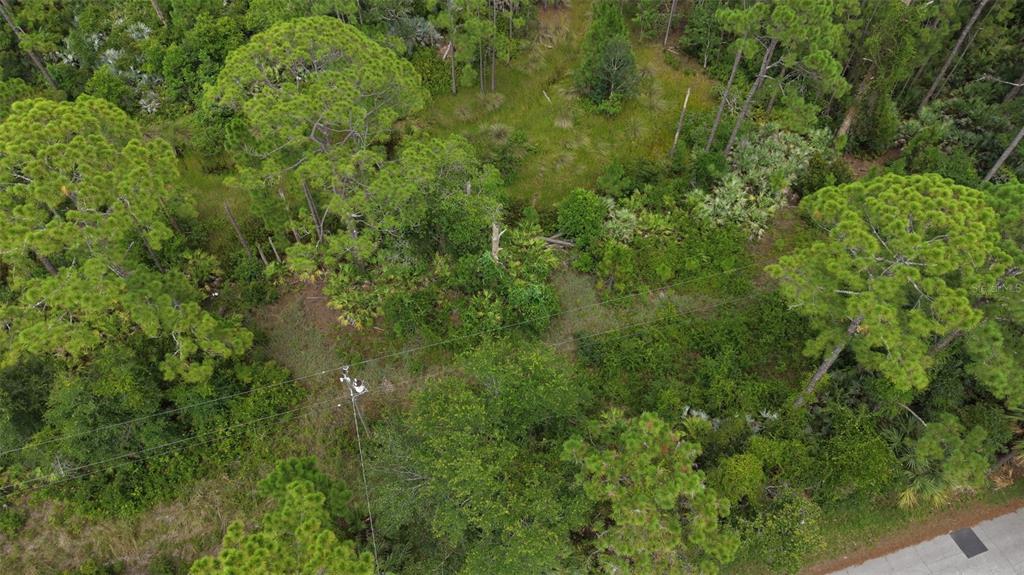 An aerial view shows a wooded lot with a utility pole and power lines — 1715 TATUM BOULEVARD, NEW SMYRNA BEACH, FL