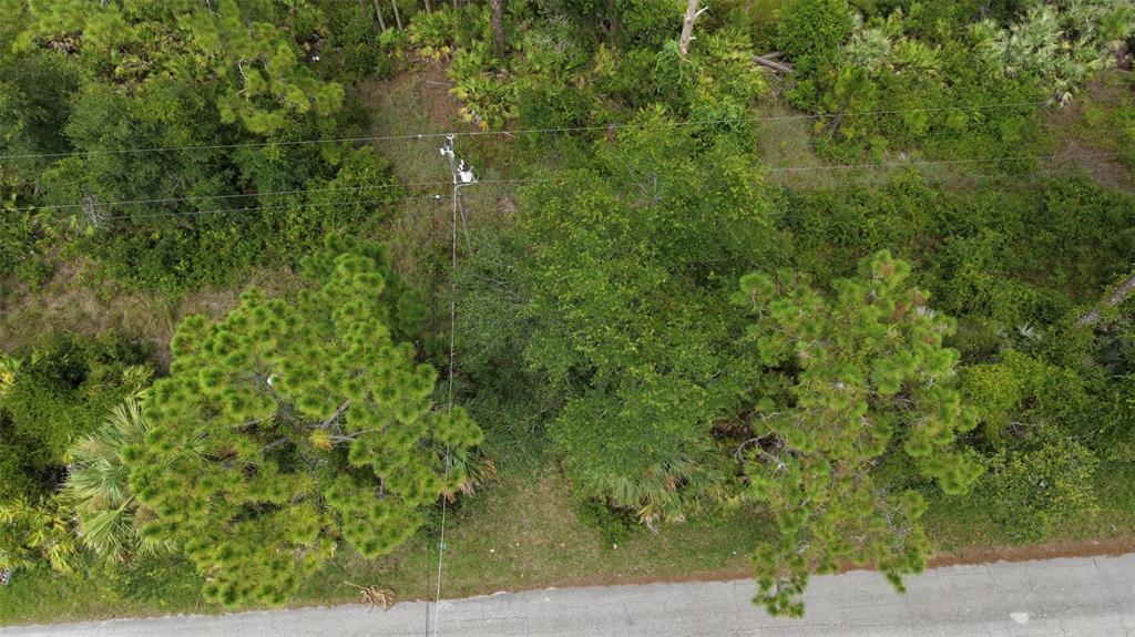 An aerial view shows a wooded lot with a utility pole next to a road — 1715 TATUM BOULEVARD, NEW SMYRNA BEACH, FL