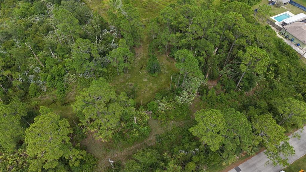 An aerial view shows a wooded, undeveloped residential lot next to a house with a pool — 1715 TATUM BOULEVARD, NEW SMYRNA BEACH, FL