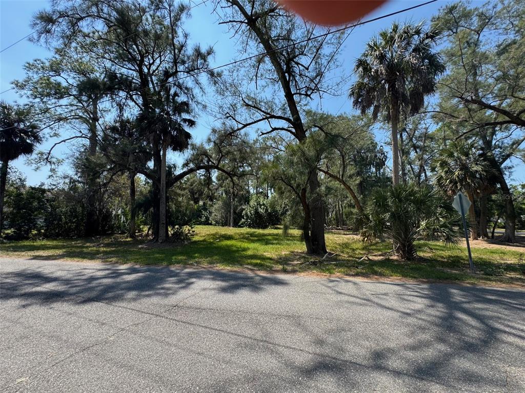 A vacant, tree-covered lot sits along a paved residential street on a sunny day — 7103 OAKWOOD DRIVE, NEW PORT RICHEY, FL