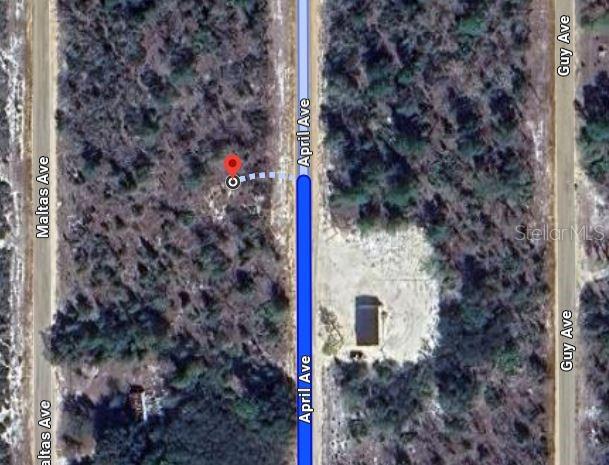 00 APRIL AVENUE, INTERLACHEN, FL — photo 2 of 5