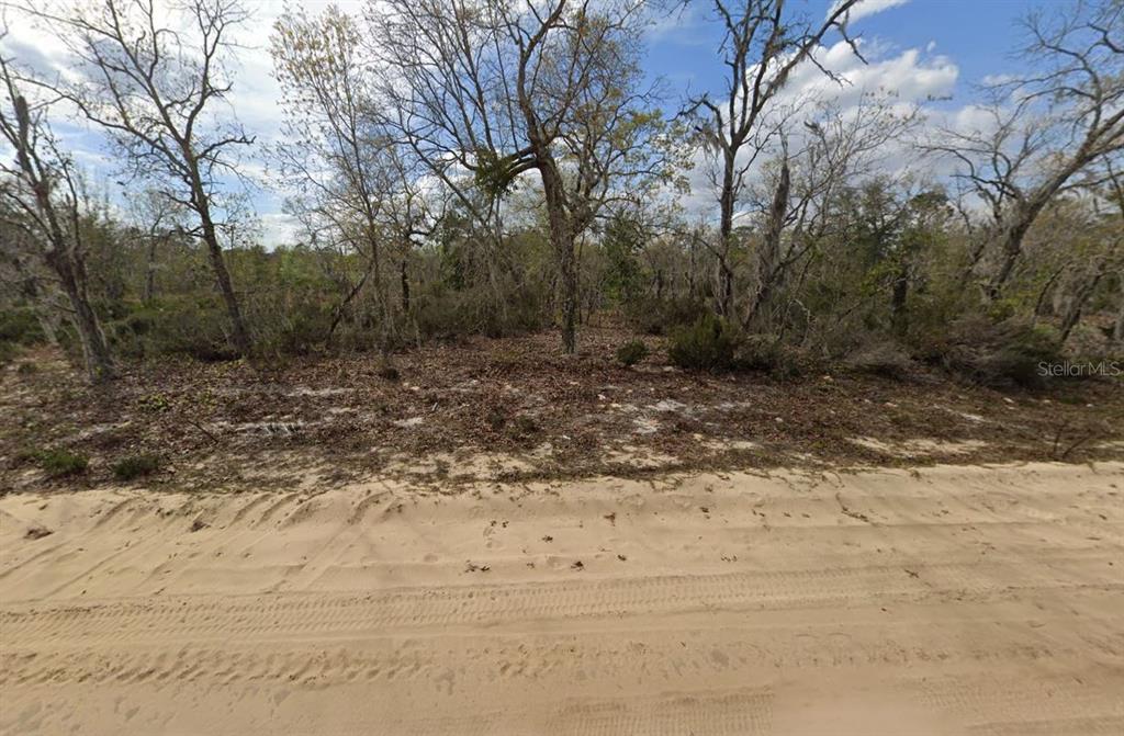 00 APRIL AVENUE, INTERLACHEN, FL — photo 3 of 5
