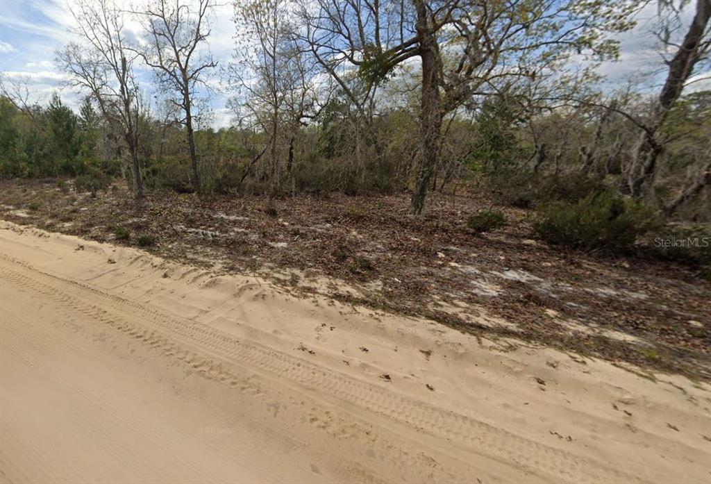 00 APRIL AVENUE, INTERLACHEN, FL — photo 4 of 5