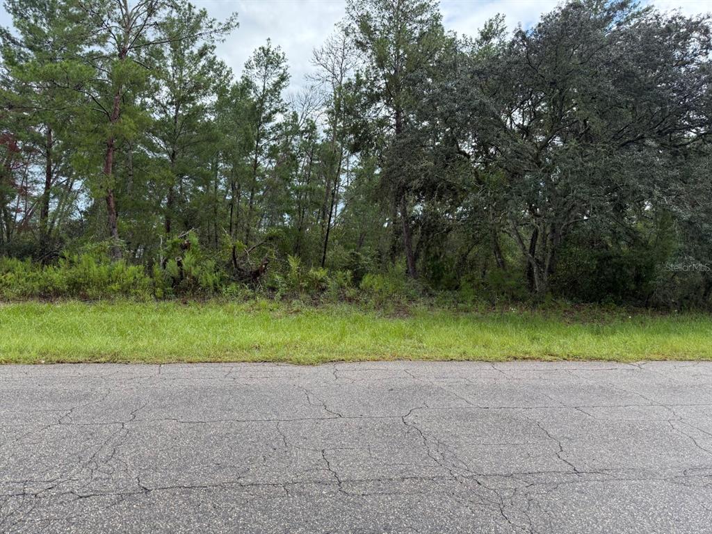 A paved road runs in front of a wooded lot with dense trees and vegetation — MARION OAKS LANE, OCALA, FL