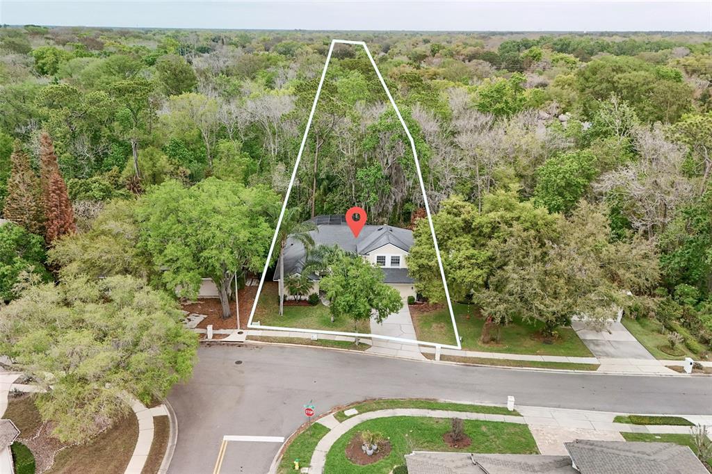 3114 HEARTLEAF PLACE, WINTER PARK, FL — photo 4 of 30