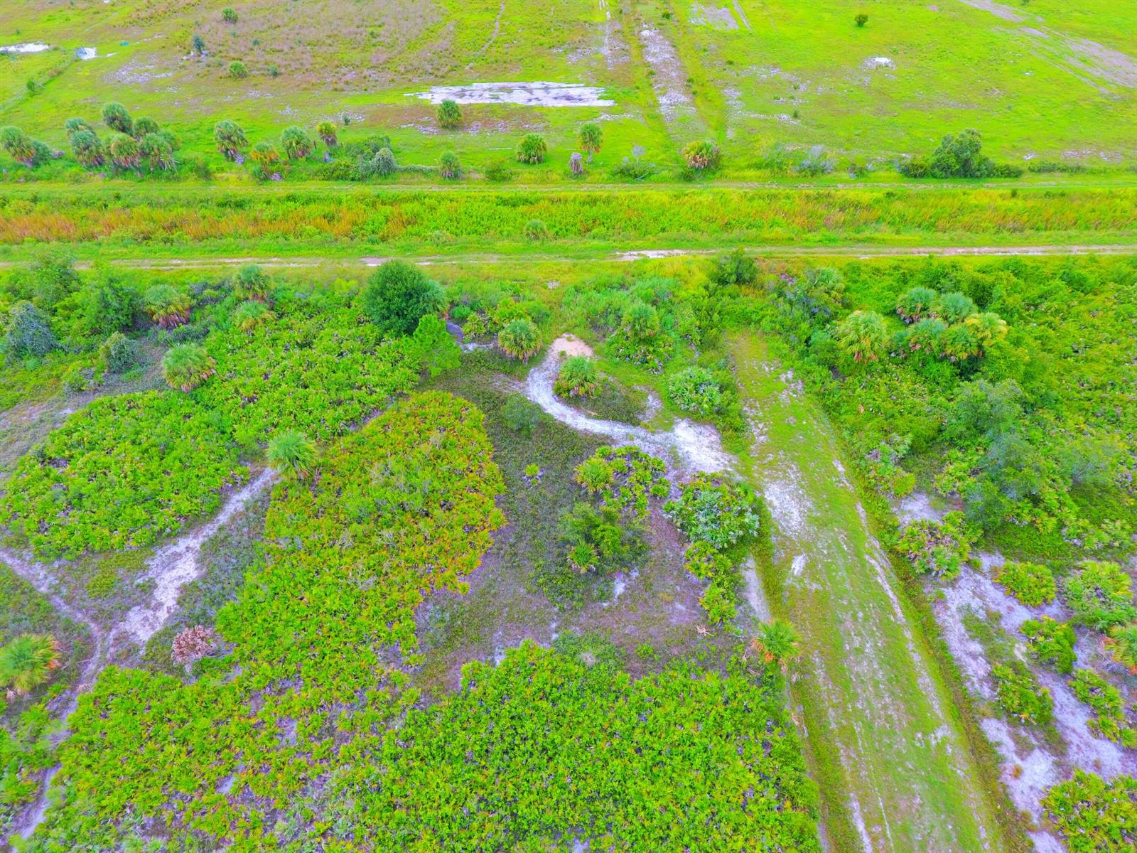 An aerial view shows a grassy, shrub-filled landscape with sandy trails and scattered palm trees — 21594 NW 282nd Street, Okeechobee FL 34972, OKEECHOBEE, FL