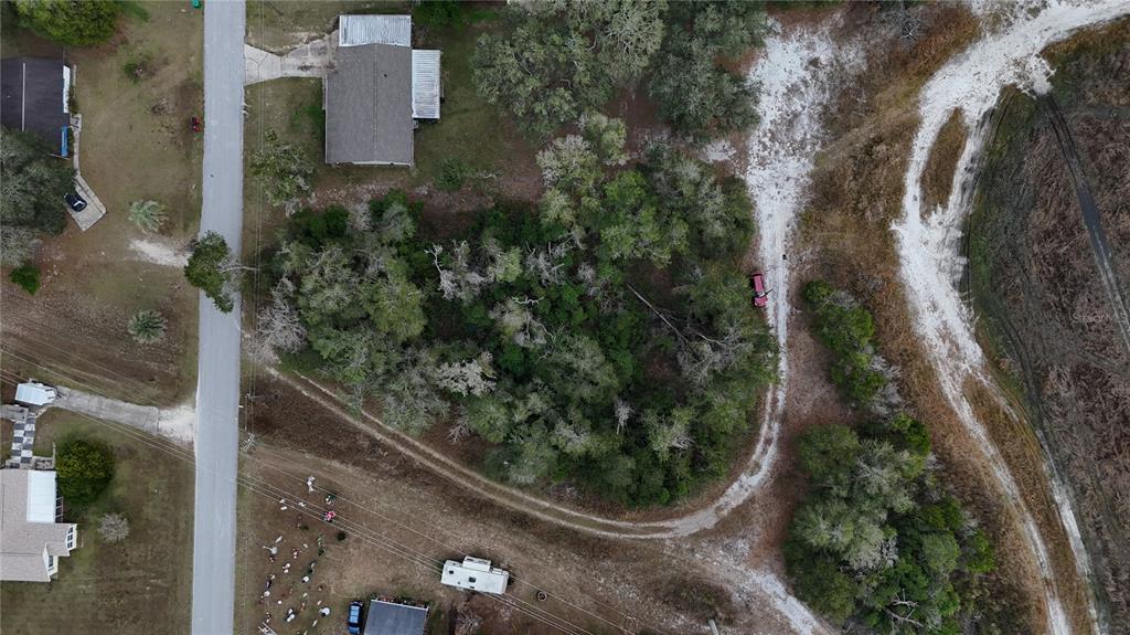 An aerial view shows a wooded lot bordered by a road, a driveway, and houses — 7800 E SAVANNAH DRIVE, FLORAL CITY, FL