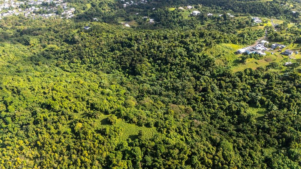 An aerial view shows a lush, hilly landscape with dense forest and scattered residential houses — 966 ZARZAL ROAD, RIO GRANDE, PR