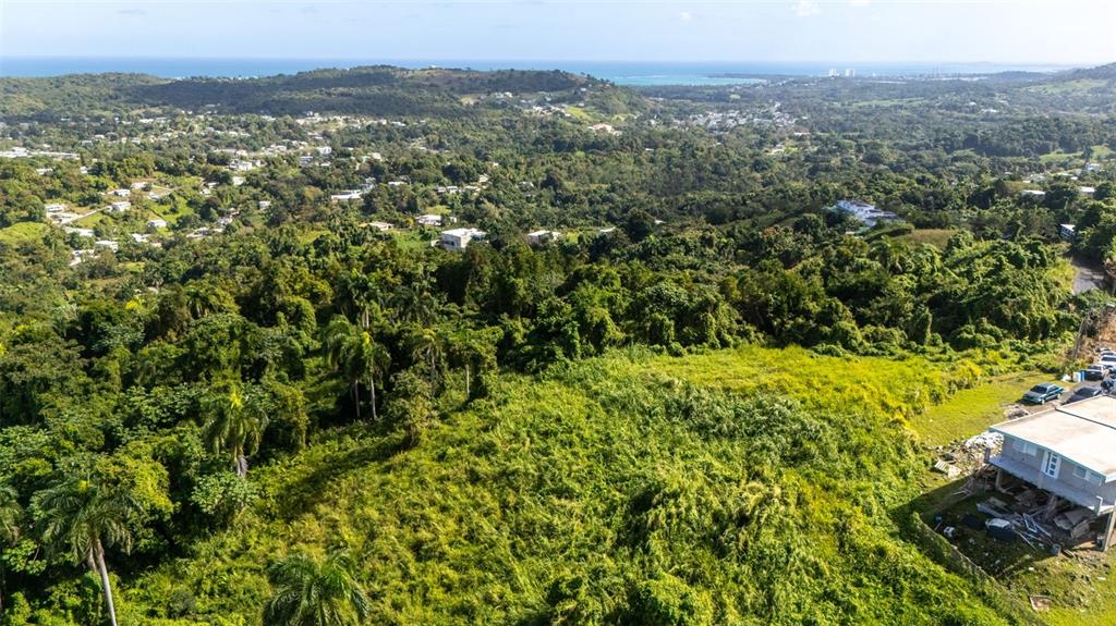An aerial view shows a grassy lot next to a house overlooking a forested landscape — 966 ZARZAL ROAD, RIO GRANDE, PR