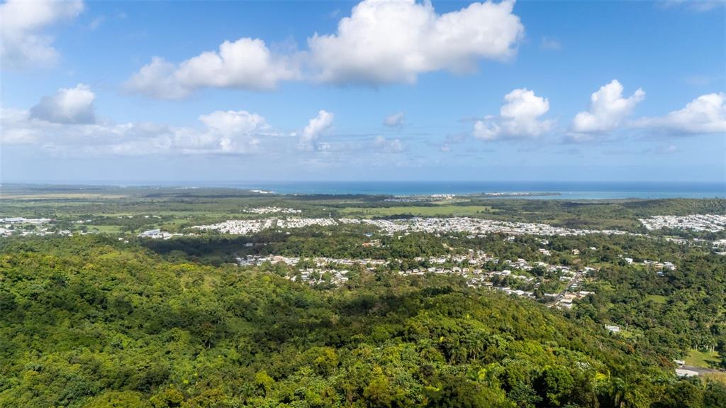 An aerial view shows a dense forest in the foreground overlooking a coastal residential area — 966 ZARZAL ROAD, RIO GRANDE, PR