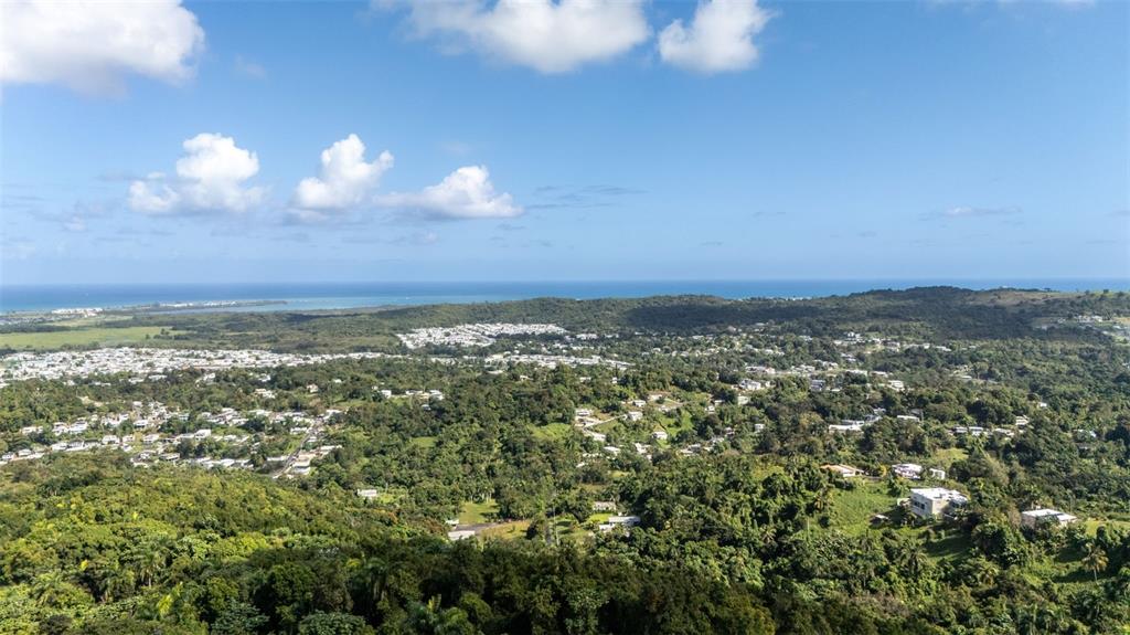 An aerial view shows a lush, hilly landscape with scattered houses and the distant ocean — 966 ZARZAL ROAD, RIO GRANDE, PR