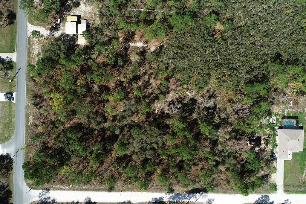 An aerial view shows a wooded, undeveloped rectangular lot situated between two residential properties — 17419 MALIBAR ROAD, WEEKI WACHEE, FL